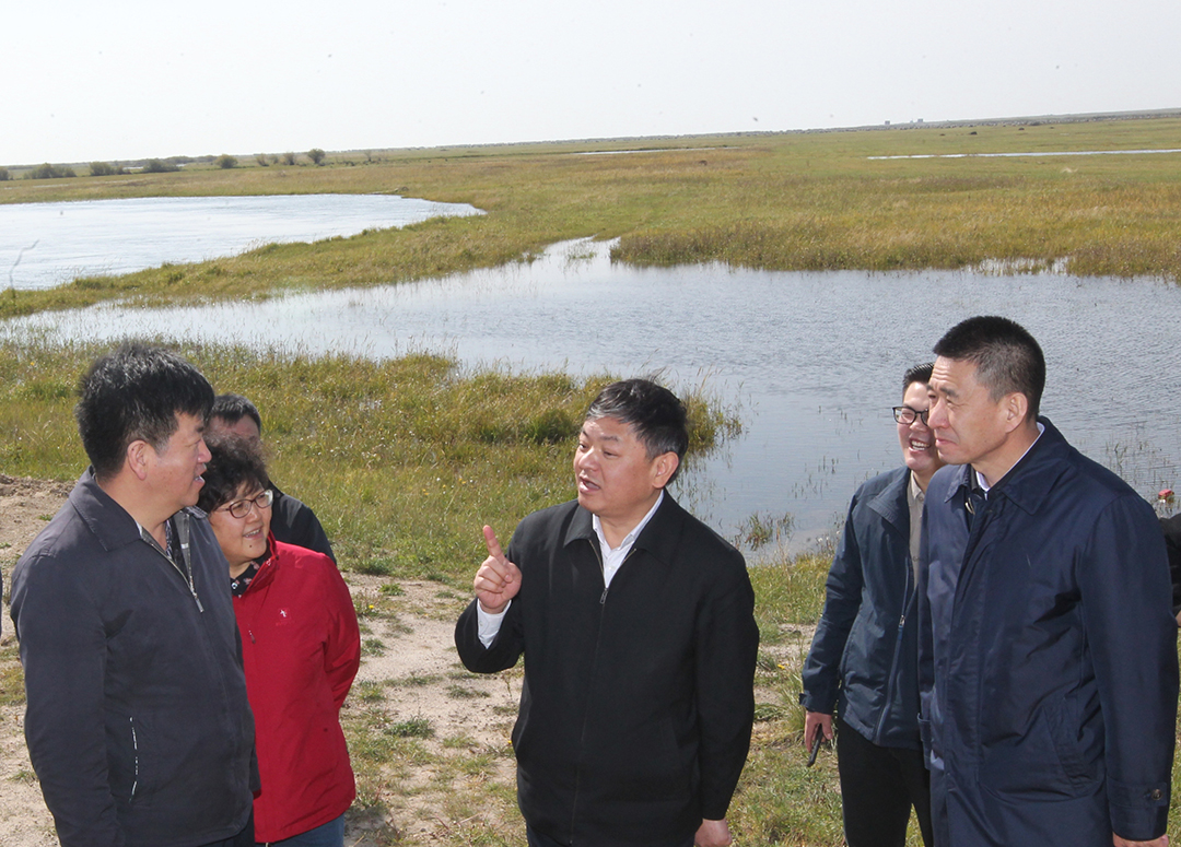 生態環境部部長黃潤秋赴河北、內蒙古調研生態環境保護工作_網頁設計公司
